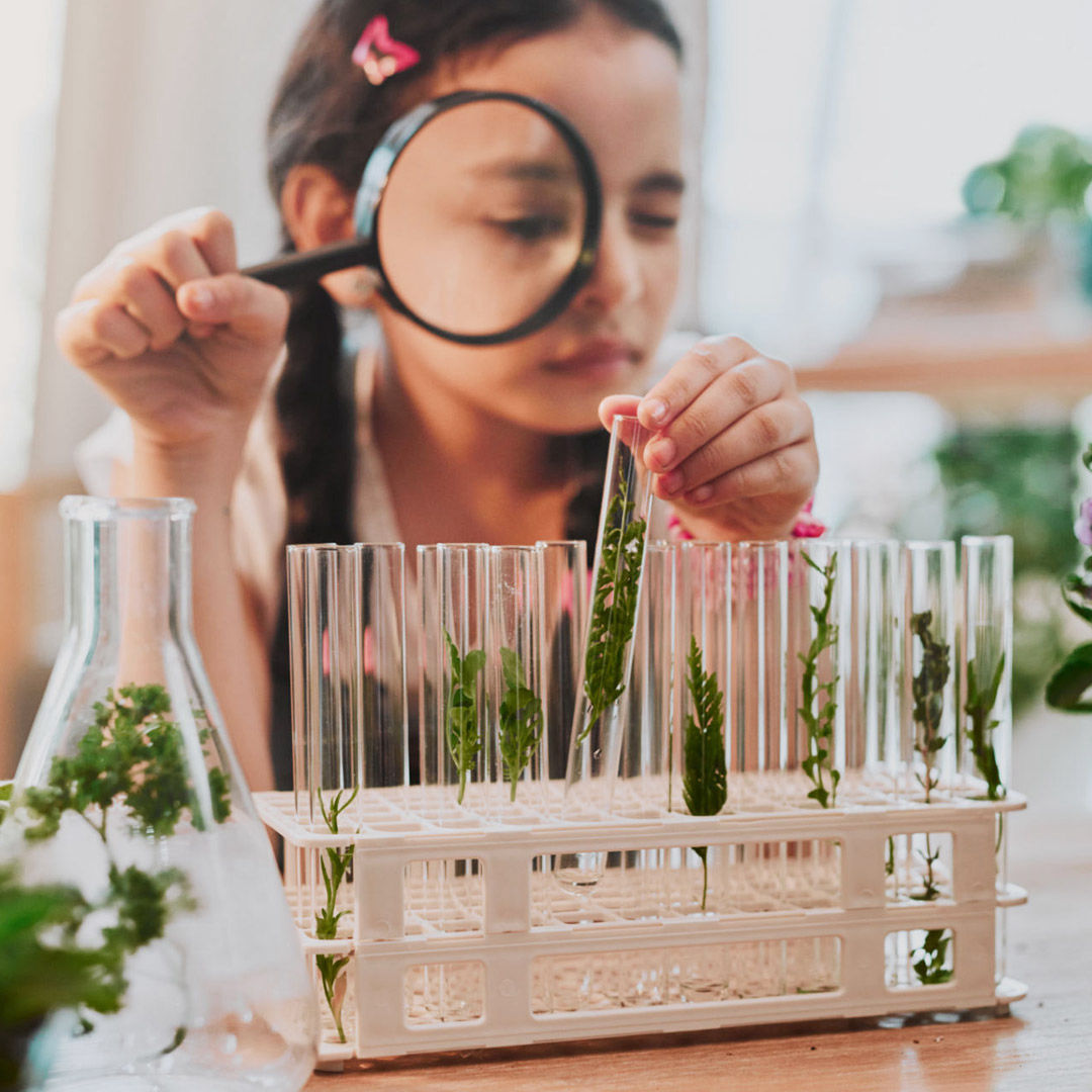 MorKanguru Bilim Etkinlikleri