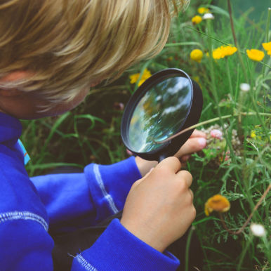 Özel çocuk bakımevi Datça