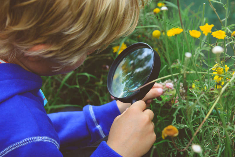 Datça Anaokulu Kreş Özel MorKanguru