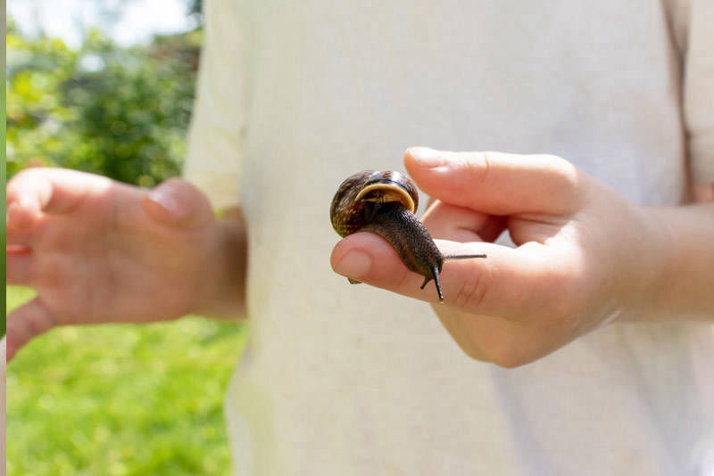 Datça Anaokulu Kreş Özel MorKanguru