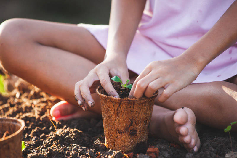 Datça Anaokulu Kreş Özel MorKanguru